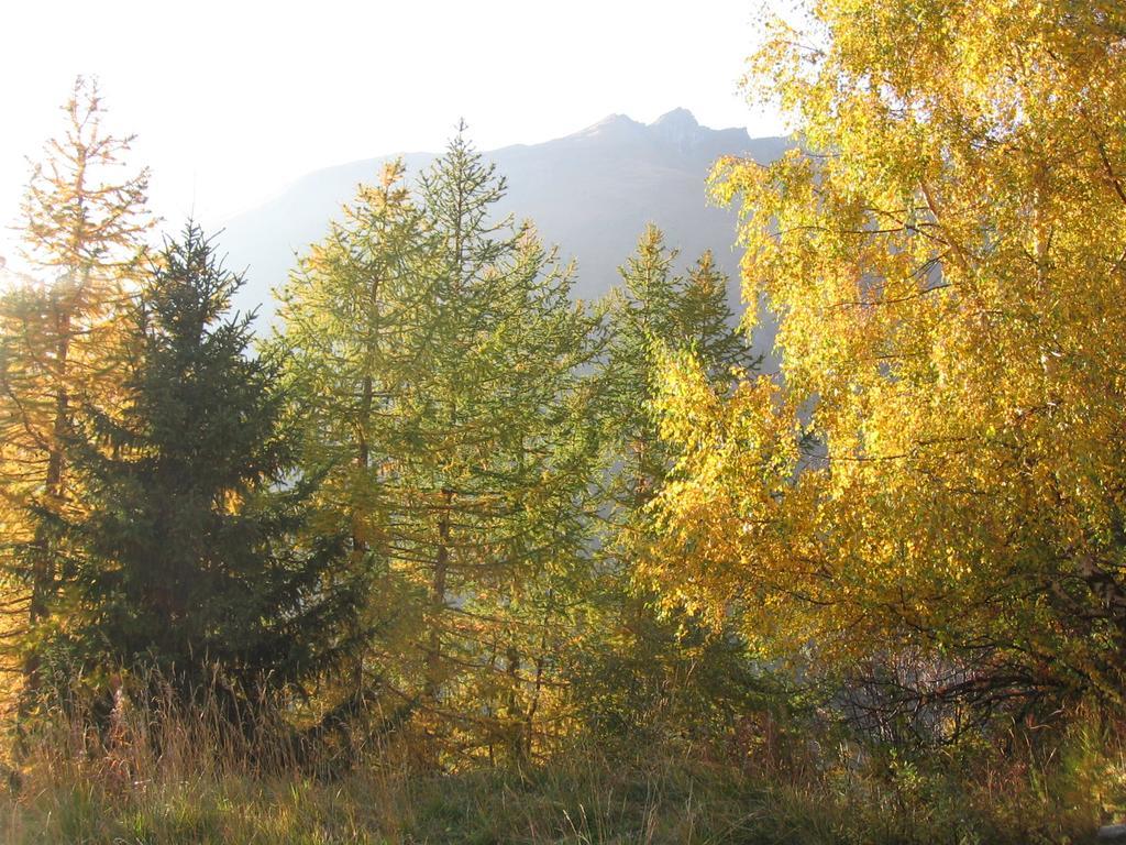 Baita La Jolie Bergere La Salle Dış mekan fotoğraf