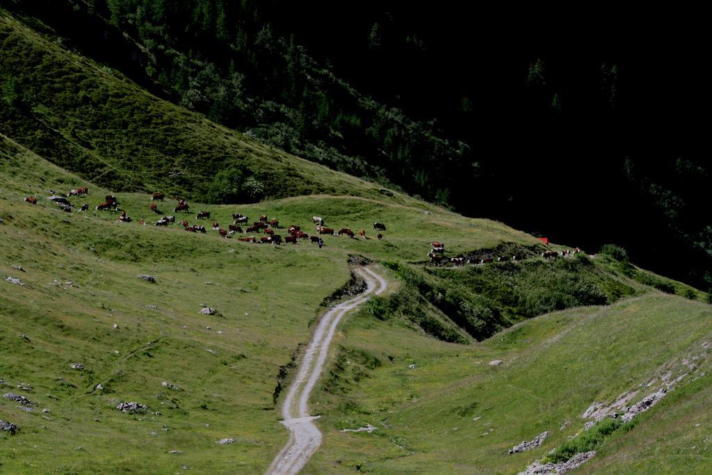 Baita La Jolie Bergere La Salle Dış mekan fotoğraf
